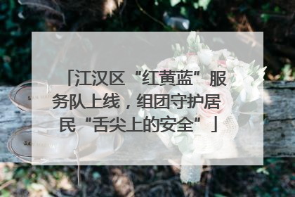 江汉区“红黄蓝”服务队上线，组团守护居民“舌尖上的安全”