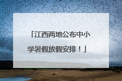 江西两地公布中小学暑假放假安排！