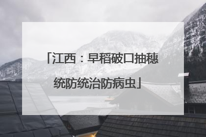 江西：早稻破口抽穗 统防统治防病虫