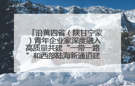 沿黄四省（陕甘宁蒙）青年企业家深度融入高质量共建“一带一路”和西部陆海新通道建设战略合作交流会在甘肃兰州召开