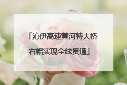 沁伊高速黄河特大桥右幅实现全线贯通