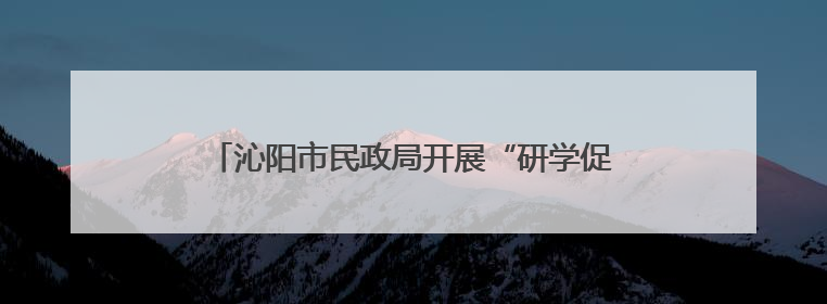 沁阳市民政局开展“研学促成长 多彩在路上”活动