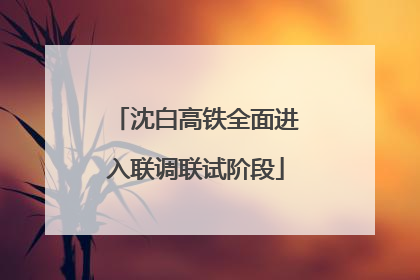 沈白高铁全面进入联调联试阶段