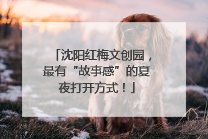 沈阳红梅文创园，最有“故事感”的夏夜打开方式！