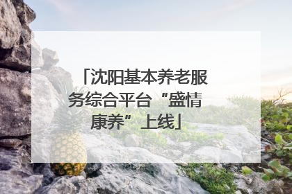 沈阳基本养老服务综合平台“盛情康养”上线