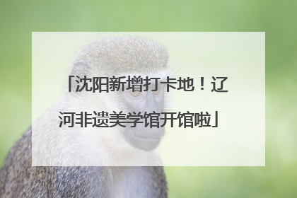 沈阳新增打卡地！辽河非遗美学馆开馆啦