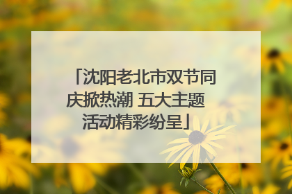 沈阳老北市双节同庆掀热潮 五大主题活动精彩纷呈