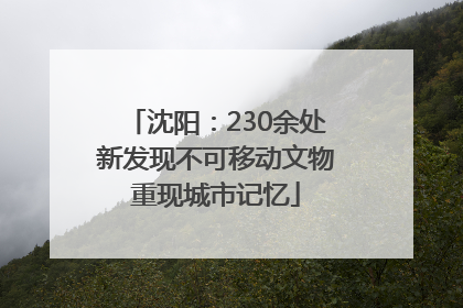 沈阳：230余处新发现不可移动文物重现城市记忆