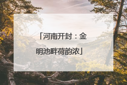河南开封：金明池畔荷韵浓