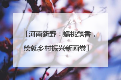 河南新野：蟠桃飘香，绘就乡村振兴新画卷