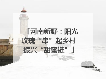 河南新野：阳光玫瑰“串”起乡村振兴“甜蜜链”