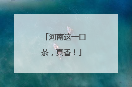 河南这一口茶，真香！
