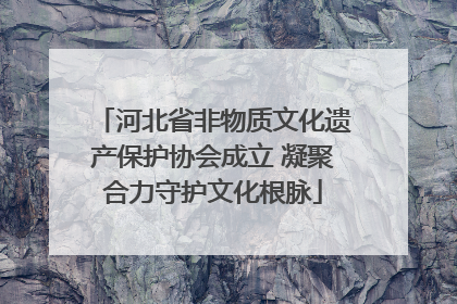 河北省非物质文化遗产保护协会成立 凝聚合力守护文化根脉