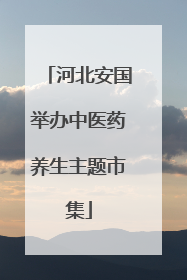 河北安国举办中医药养生主题市集