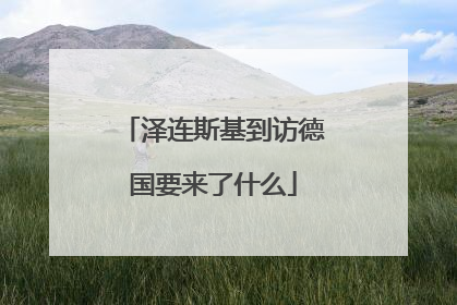 泽连斯基到访德国要来了什么