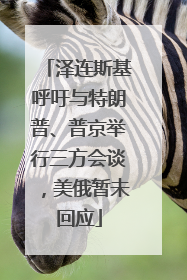 泽连斯基呼吁与特朗普、普京举行三方会谈，美俄暂未回应