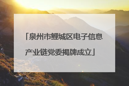 泉州市鲤城区电子信息产业链党委揭牌成立
