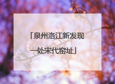 泉州洛江新发现一处宋代窑址