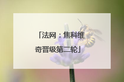 法网：焦科维奇晋级第二轮