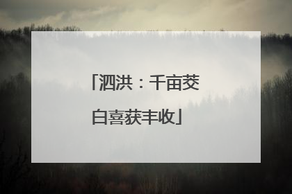 泗洪：千亩茭白喜获丰收