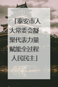 泰安市人大常委会凝聚代表力量赋能全过程人民民主