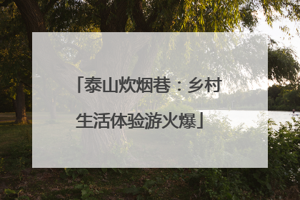 泰山炊烟巷：乡村生活体验游火爆