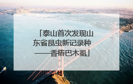 泰山首次发现山东省昆虫新记录种——香椿巴木虱