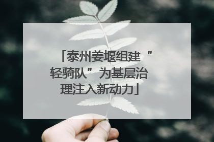 泰州姜堰组建“轻骑队”为基层治理注入新动力