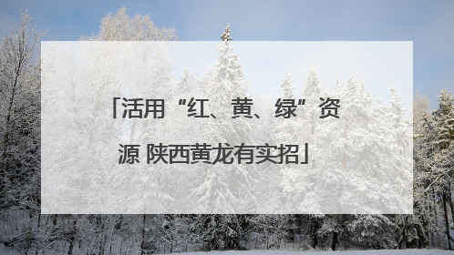 活用“红、黄、绿”资源 陕西黄龙有实招