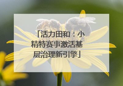活力田和：小精特赛事激活基层治理新引擎