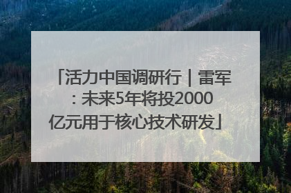 活力中国调研行｜雷军：未来5年将投2000亿元用于核心技术研发