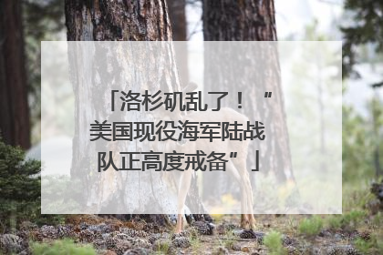 洛杉矶乱了！“美国现役海军陆战队正高度戒备”