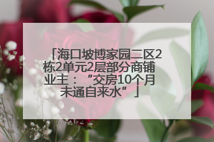 海口坡博家园二区2栋2单元2层部分商铺业主：“交房10个月未通自来水”