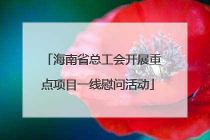 海南省总工会开展重点项目一线慰问活动