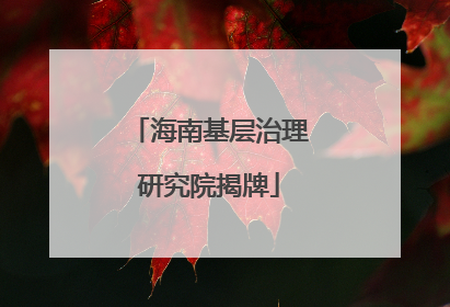 海南基层治理研究院揭牌