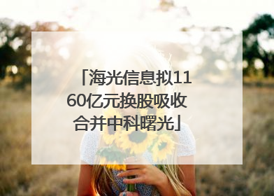 海光信息拟1160亿元换股吸收合并中科曙光