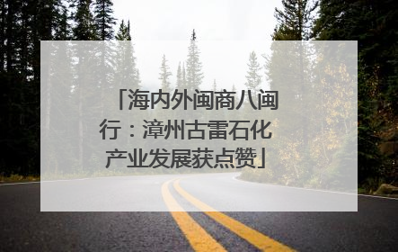 海内外闽商八闽行：漳州古雷石化产业发展获点赞