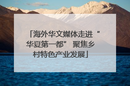 海外华文媒体走进“华夏第一都” 聚焦乡村特色产业发展