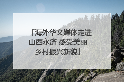 海外华文媒体走进山西永济 感受美丽乡村振兴新貌
