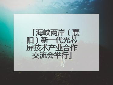 海峡两岸（襄阳）新一代光芯屏技术产业合作交流会举行