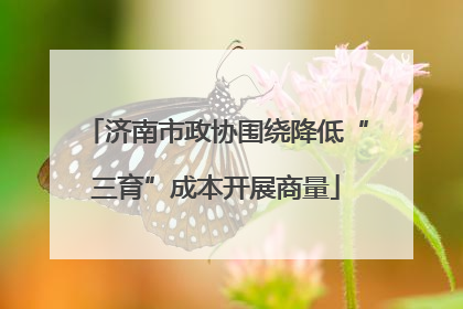 济南市政协围绕降低“三育”成本开展商量
