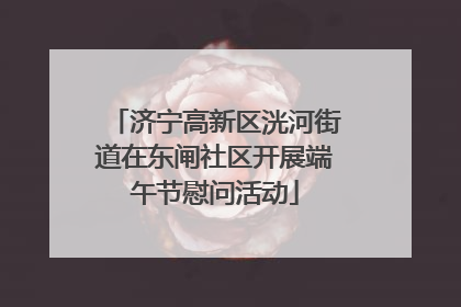 济宁高新区洸河街道在东闸社区开展端午节慰问活动