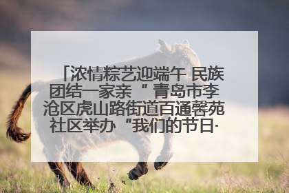 浓情粽艺迎端午 民族团结一家亲“ 青岛市李沧区虎山路街道百通馨苑社区举办“我们的节日·端午“主题活动