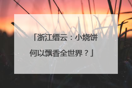 浙江缙云：小烧饼何以飘香全世界？