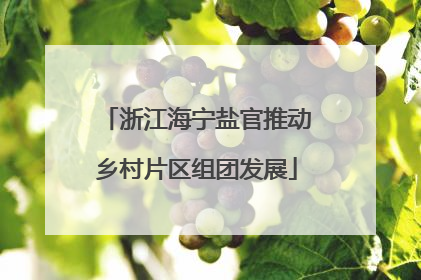 浙江海宁盐官推动乡村片区组团发展
