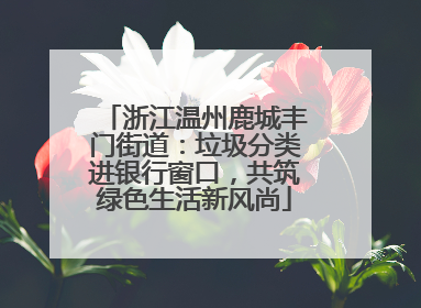 浙江温州鹿城丰门街道：垃圾分类进银行窗口，共筑绿色生活新风尚