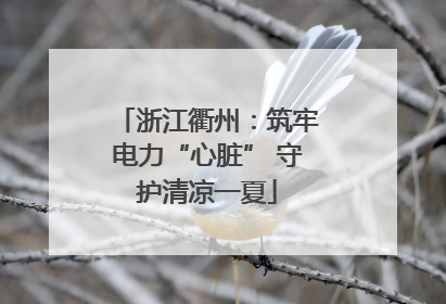 浙江衢州：筑牢电力“心脏” 守护清凉一夏