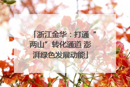 浙江金华：打通“两山”转化通道 澎湃绿色发展动能