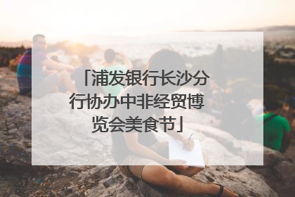 浦发银行长沙分行协办中非经贸博览会美食节