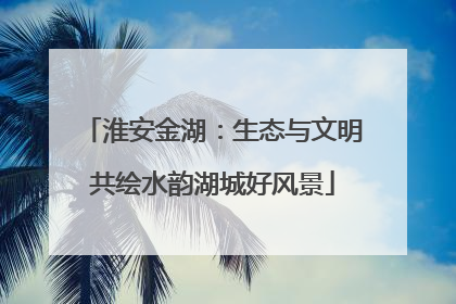 淮安金湖：生态与文明共绘水韵湖城好风景